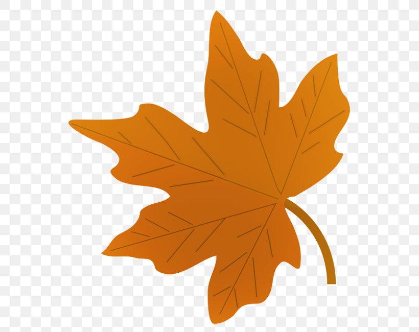 Drawing Autumn Leaf Color Maple Leaf Clip Art, PNG, 595x650px, Drawing, Art, Autumn, Autumn Leaf Color, Color Download Free