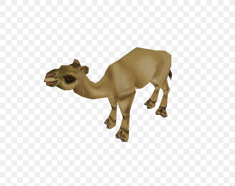 Dromedary Zoo Tycoon 2 Video Games, PNG, 750x650px, Dromedary, Animal, Animal Figure, Arabian Camel, Camel Download Free