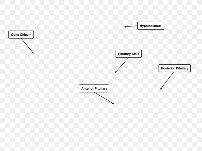 Line Brand Angle Point, PNG, 1024x768px, Brand, Area, Diagram, Parallel, Point Download Free