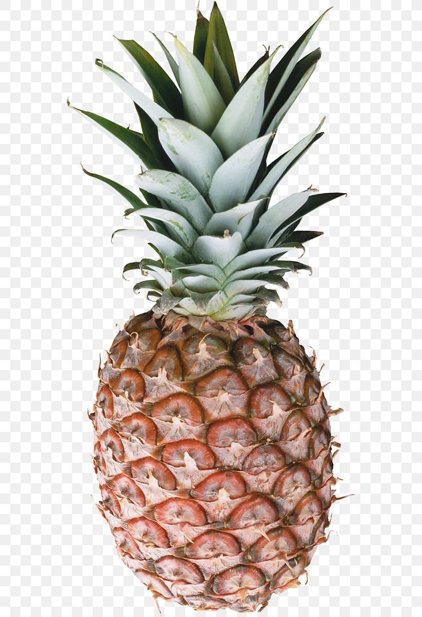 Pineapple Clip Art, PNG, 561x1200px, Pineapple, Ananas, Bromeliaceae, Flowerpot, Food Download Free