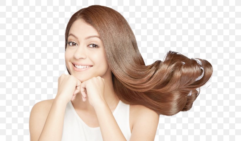 Artificial Hair Integrations Karisma Hair Salon Hair Care Cosmetics, PNG, 640x480px, Artificial Hair Integrations, Beauty, Beauty Parlour, Brown Hair, Caramel Color Download Free