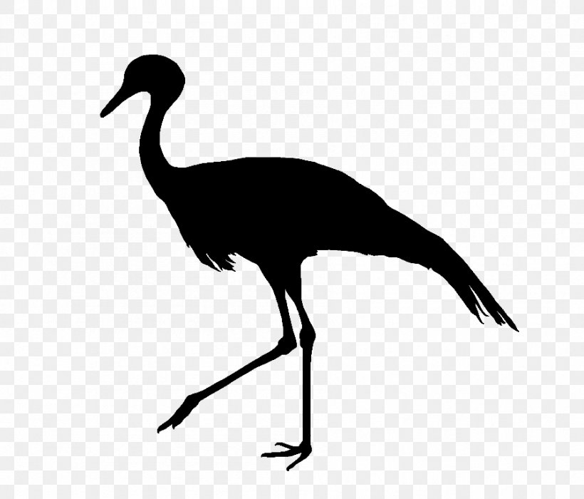 Blue Crane Bird Silhouette Feather, PNG, 899x768px, Crane, Beak, Bird, Black, Black And White Download Free