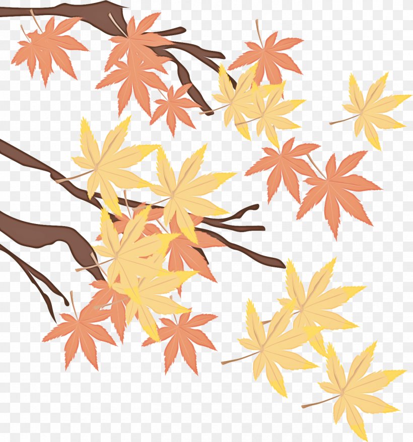 Maple Leaf, PNG, 1370x1468px, Leaf, Maple Leaf, Orange, Plant, Plant Stem Download Free