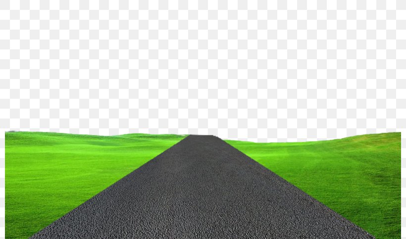 Road Clip Art, PNG, 800x484px, Road, Display Resolution, Ecosystem, Eliza Taylor, Field Download Free