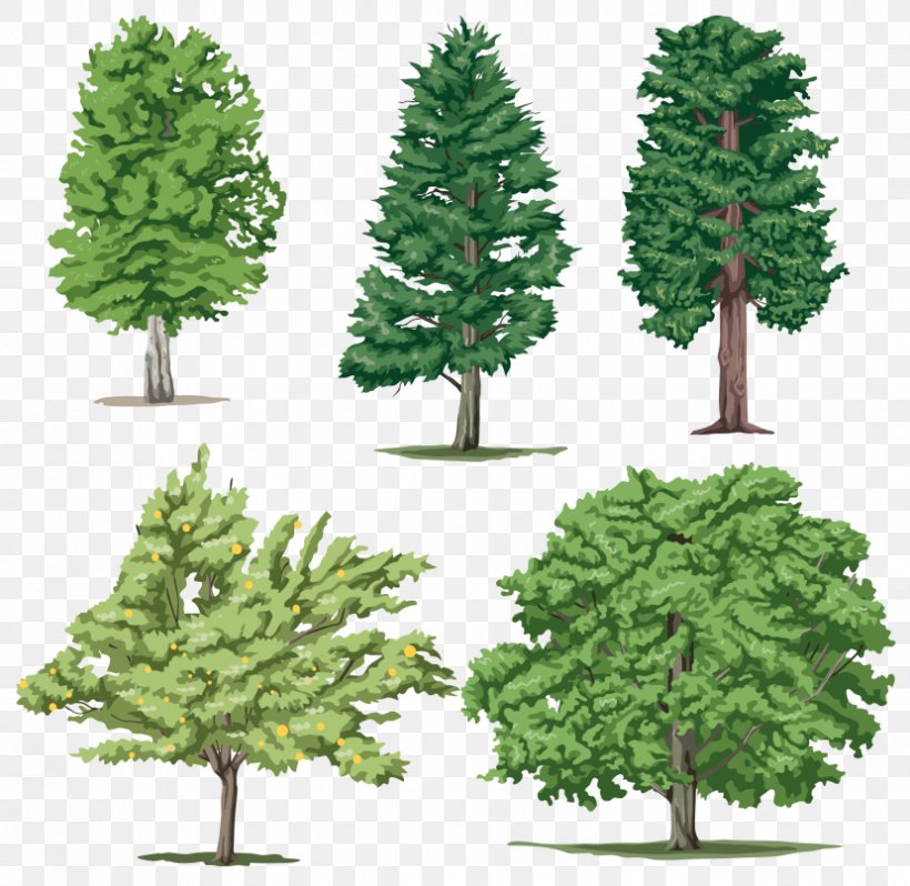 Tree Adobe Photoshop Clip Art Image, PNG, 829x807px, Tree, Biome, Branch, Christmas Decoration, Christmas Ornament Download Free