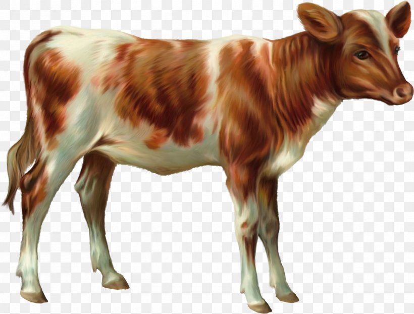 Cattle Calf Sheep Goat Ox, PNG, 1345x1021px, Cattle, Bull, Calf, Cattle Like Mammal, Cow Goat Family Download Free