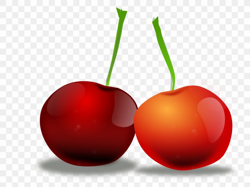 Cherry Clip Art, PNG, 2400x1800px, Cherry, Apple, Blossom, Cherry Blossom, Diet Food Download Free