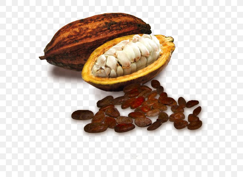 Cocoa Bean White Chocolate Theobroma Cacao, PNG, 600x600px, Cocoa Bean, Bean, Cane Sugar, Chocolate, Clam Download Free
