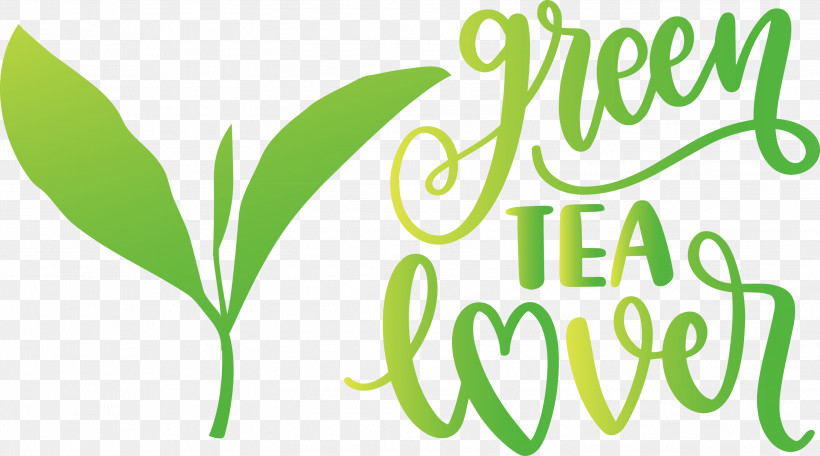 Green Tea Lover Tea, PNG, 2999x1670px, Tea, Commodity, Grasses, Green, Leaf Download Free