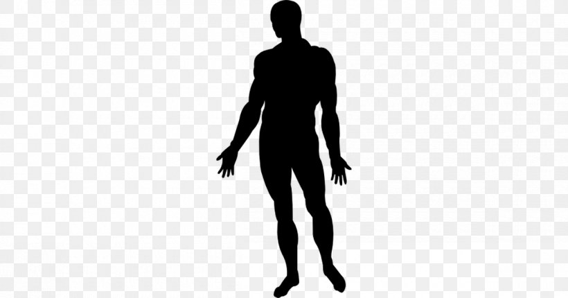 Human Body Silhouette Homo Sapiens Photography, PNG, 1200x630px, Human Body, Abdomen, Arm, Black, Black And White Download Free