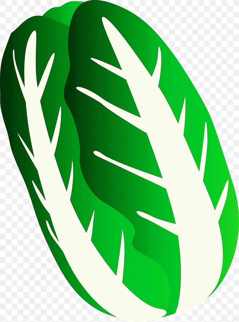 Nappa Cabbage, PNG, 2230x3000px, Nappa Cabbage, Green, Leaf, Logo, Plant Download Free