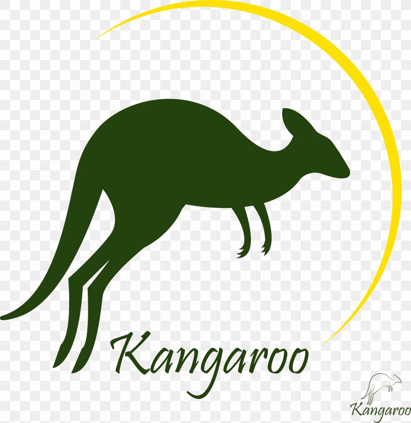Royalty-free Kangaroo Photography, PNG, 3739x3850px, Royaltyfree, Area, Art, Cartoon, Dog Like Mammal Download Free