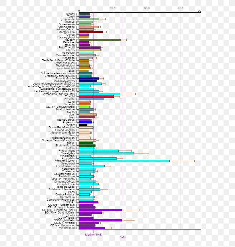 TERF1 Telomerase Cell Gene Strikingly, PNG, 634x862px, Telomerase, Area, Brain, Cell, Cerebral Cortex Download Free