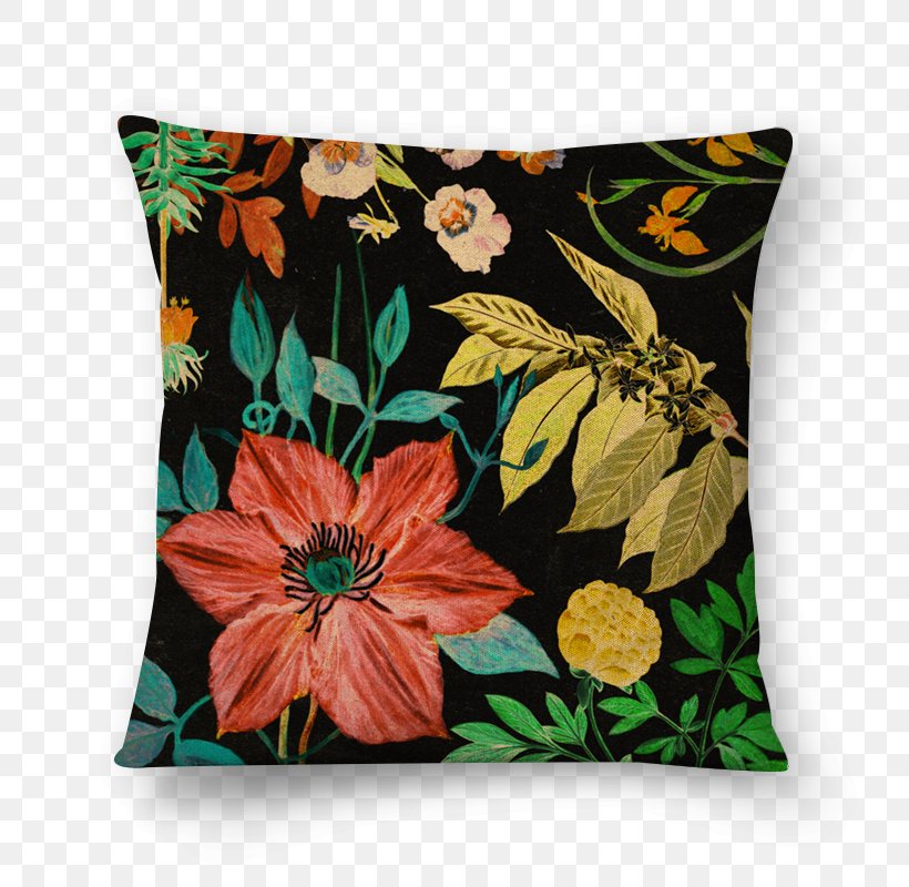 Throw Pillows Cushion Flower Rectangle, PNG, 800x800px, Pillow, Cushion, Flower, Rectangle, Textile Download Free