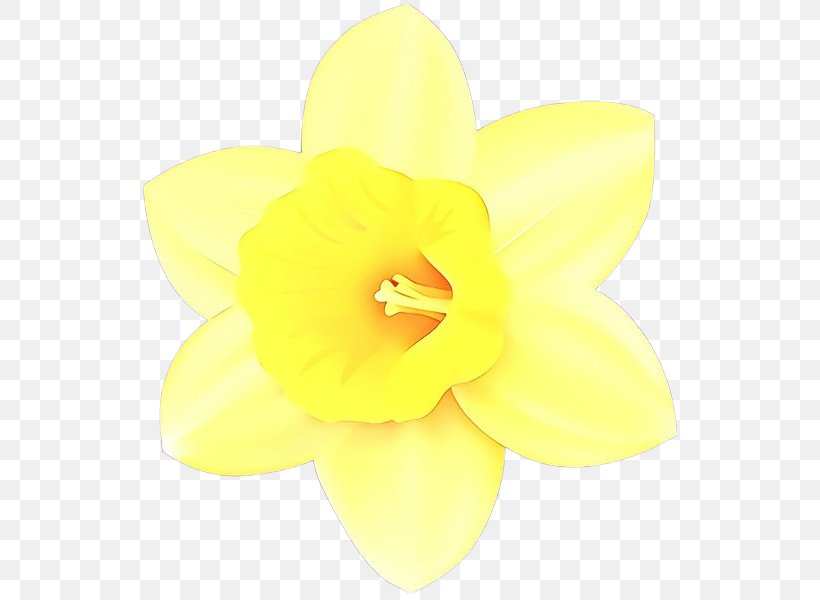 Yellow Flower, PNG, 550x600px, Cartoon, Amaryllis Family, Flower, Narcissus, Petal Download Free