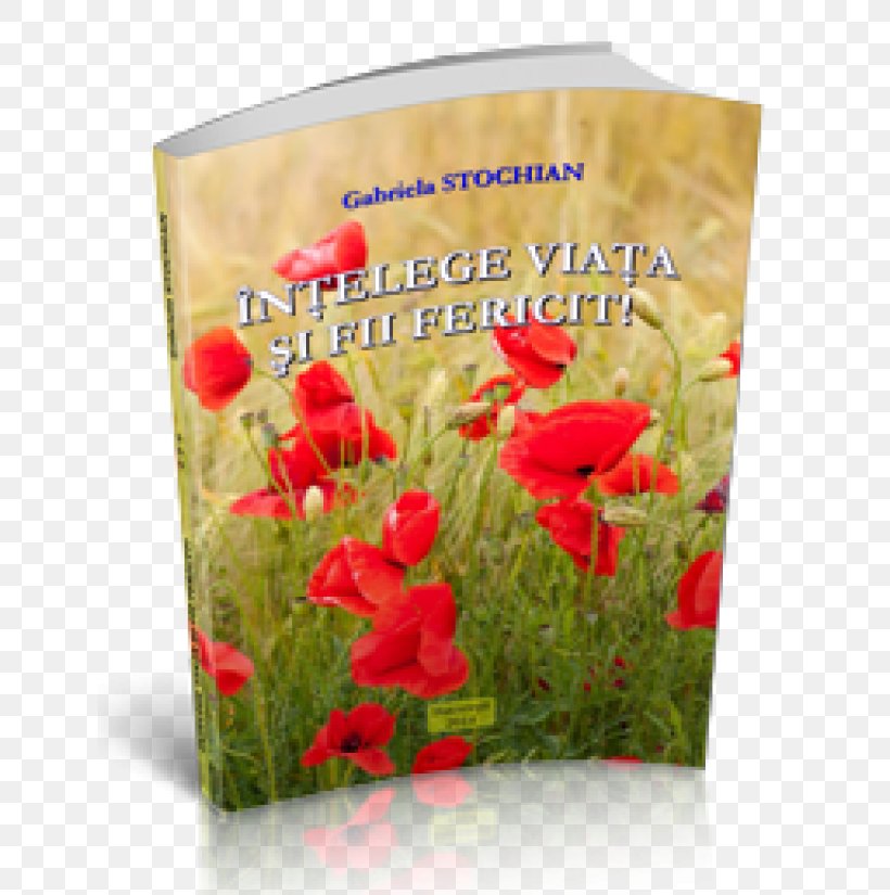 Chapter Book Text Paperback Spirituality, PNG, 640x825px, Chapter, Angel, Book, Click, Coquelicot Download Free