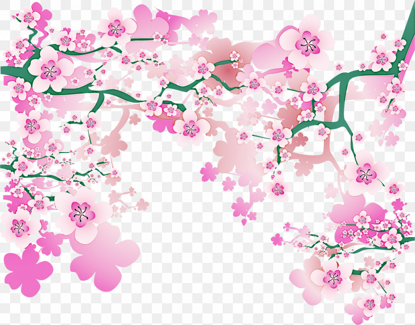 Cherry Blossom, PNG, 1691x1327px, Cherry Blossom, Biology, Cherry, Computer, Floral Design Download Free