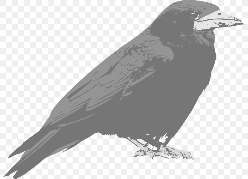 Common Raven Clip Art Openclipart Free Content Vector Graphics, PNG, 800x592px, Common Raven, American Crow, Beak, Bird, Black And White Download Free