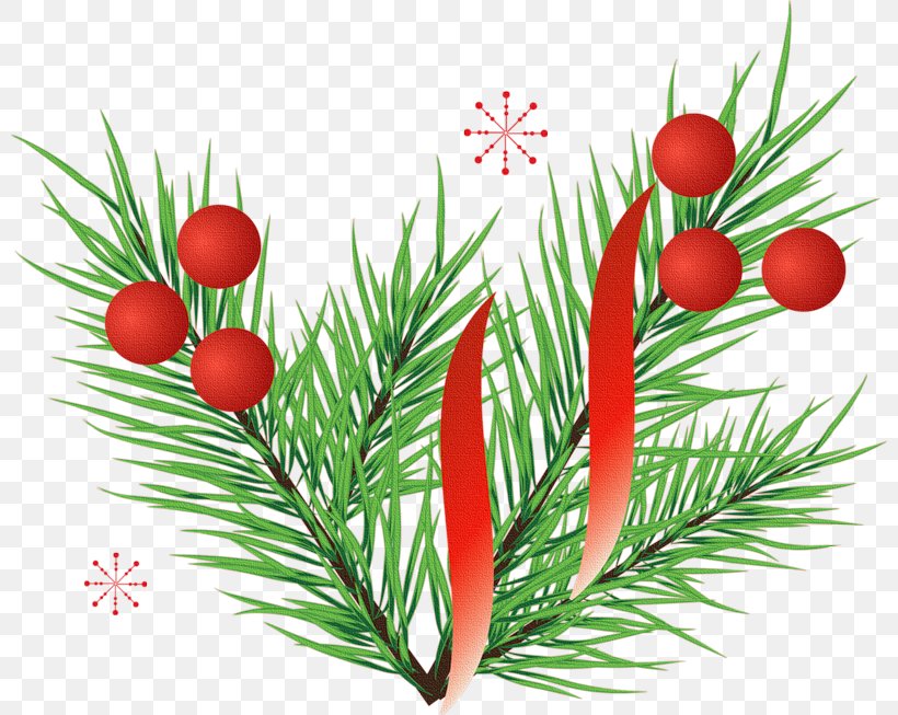 Christmas Ornament Christmas Decoration Santa Claus Christmas Day Christmas Tree, PNG, 800x653px, Christmas Ornament, Advent, Branch, Christmas, Christmas Card Download Free