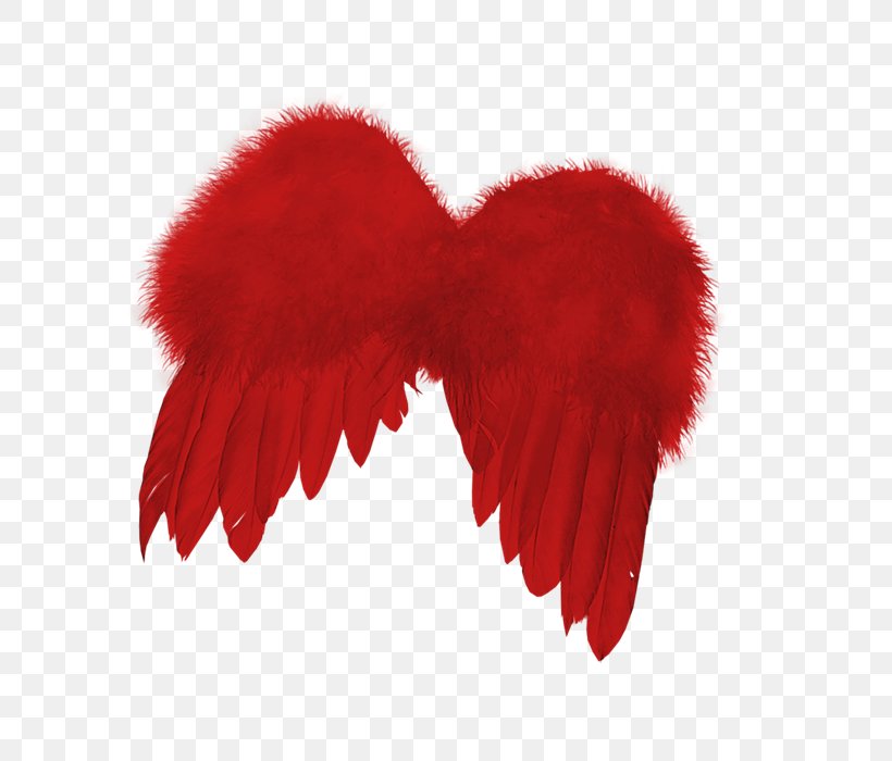 Feather, PNG, 700x700px, Feather, Fur, Heart, Lossless Compression, Love Download Free