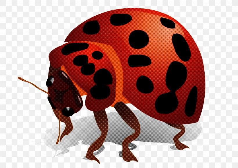 Ladybug, PNG, 2400x1697px, Insect, Beetle, Ladybug, Leaf Beetle, Pest Download Free