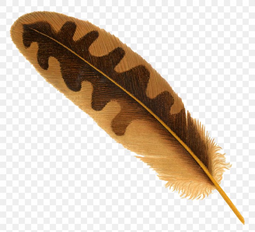 Bird Feather, PNG, 1500x1365px, Bird, Drawing, Eagle Feather Law, Feather, Ink Download Free