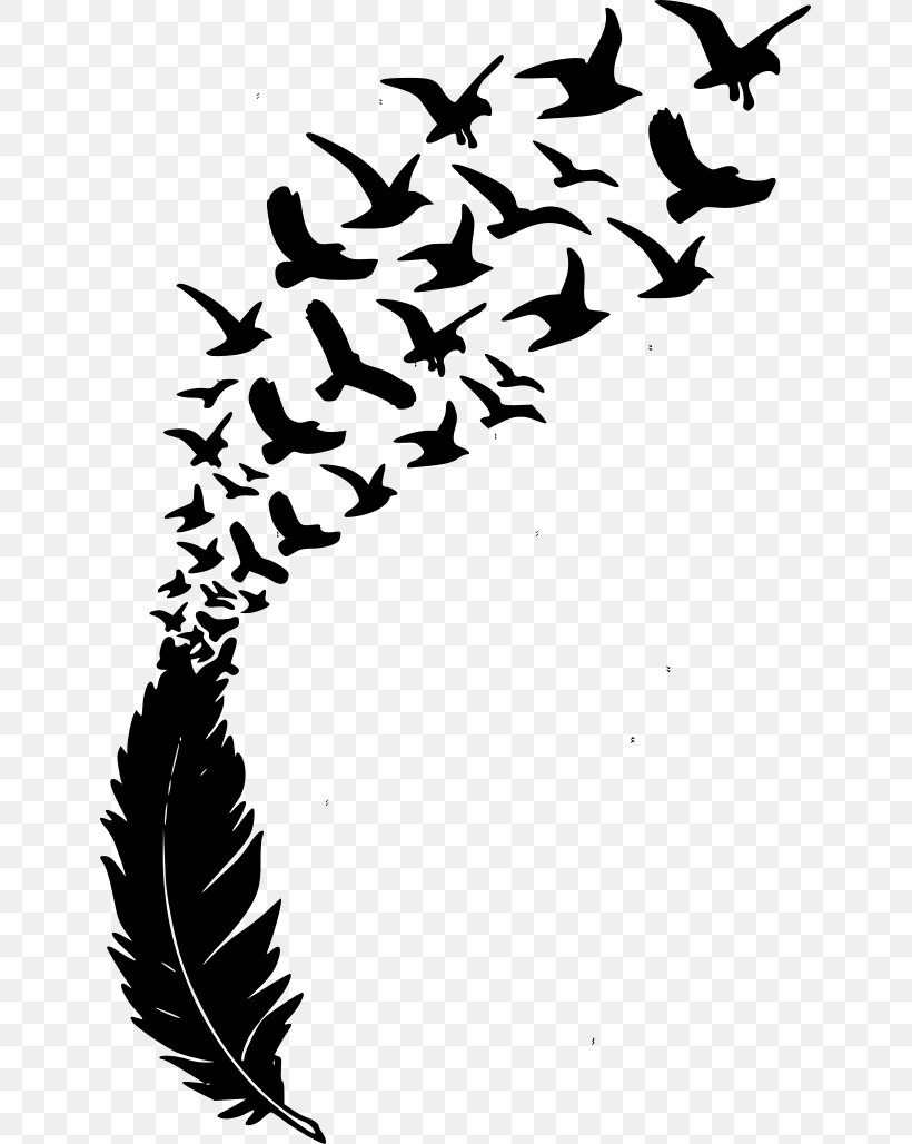 feather vector png