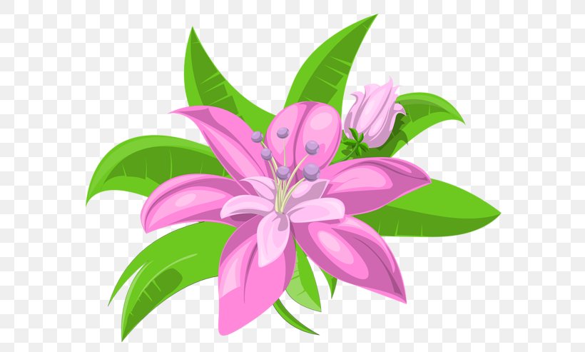 Clip Art Image Rosemallows, PNG, 600x493px, Rosemallows, Art, Drawing, Flora, Floral Design Download Free