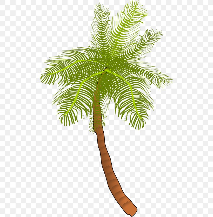 Coconut Arecaceae Tree Clip Art, PNG, 512x833px, Coconut, Arecaceae, Arecales, Branch, Date Palm Download Free