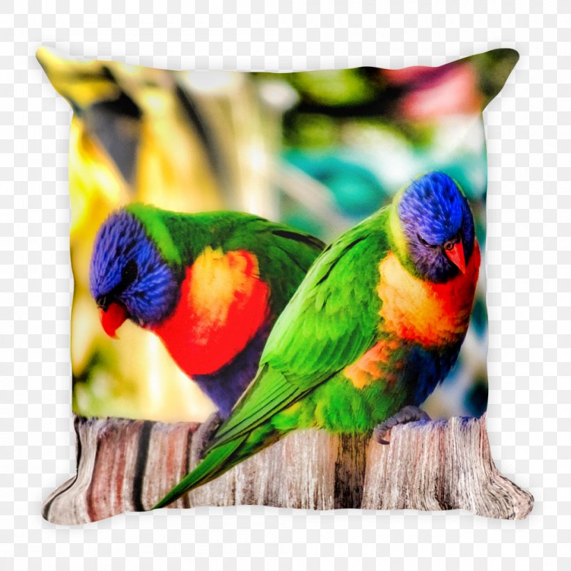 Cushion Throw Pillows Macaw North Haven, New South Wales, PNG, 1000x1000px, Cushion, Australia, Beach, Beak, Bed Download Free