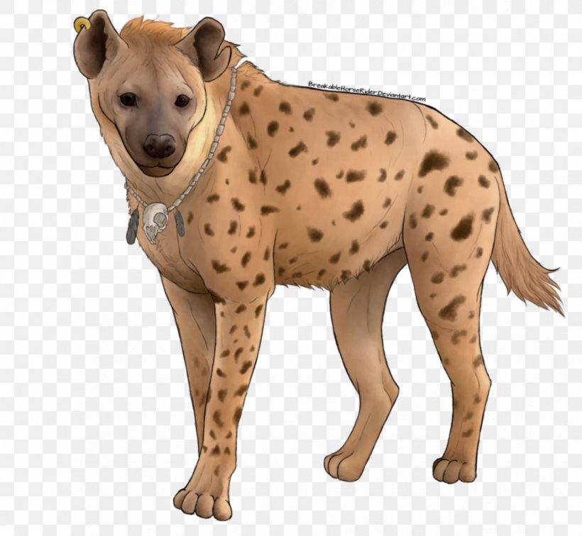 Spotted Hyena Cheetah, PNG, 931x859px, Hyena, Animal, Carnivoran, Cheetah, Digital Image Download Free