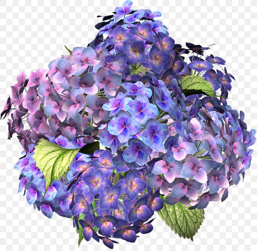 Flower Hydrangea Desktop Wallpaper Clip Art, PNG, 1280x1250px, Flower, Benzersiz, Color, Cornales, Cut Flowers Download Free