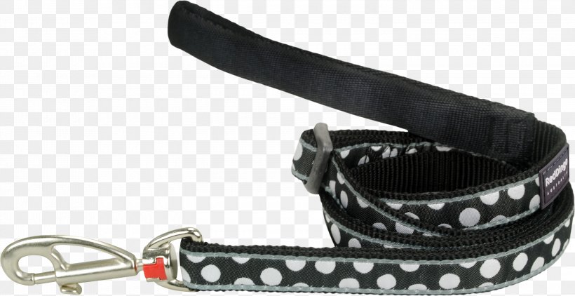 Leash Dog Dingo Collar, PNG, 3000x1544px, Leash, Amazoncom, Belt, Cat, Collar Download Free