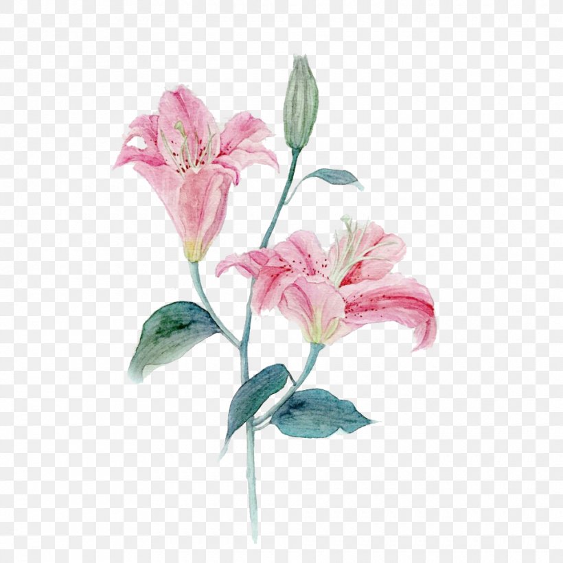 Lilium Pink Rose, PNG, 960x960px, Lilium, Blossom, Branch, Color, Cut Flowers Download Free