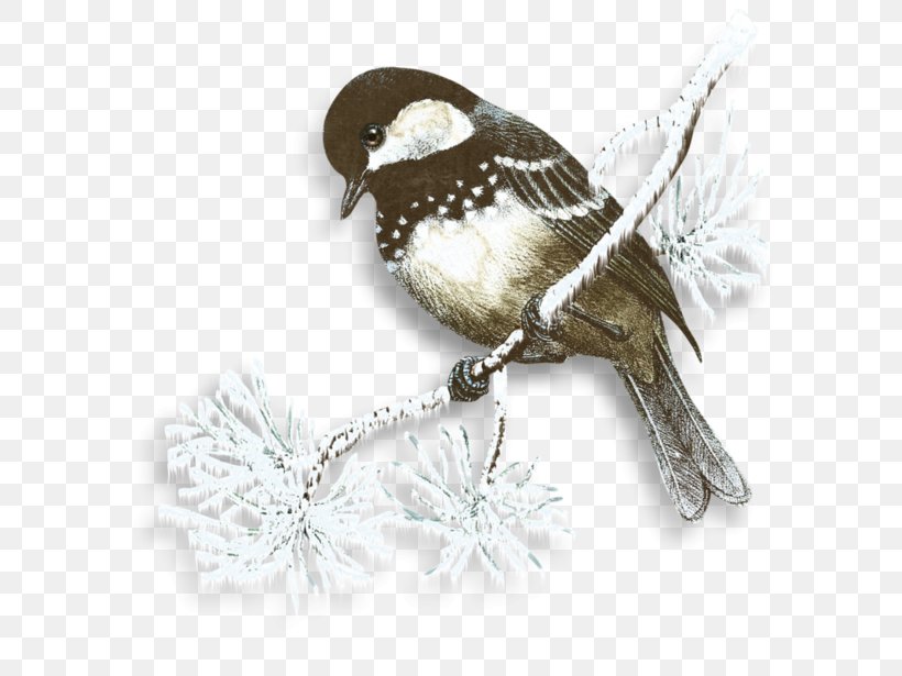 Snow Flurry Winter Bird Clip Art, PNG, 600x615px, Snow, Beak, Bird, Cdr, Christmas Decoration Download Free