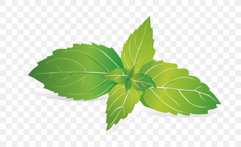 Leaf Mint Raster Graphics, PNG, 1014x620px, Mentha Spicata, Green, Herb, Herbalism, Leaf Download Free