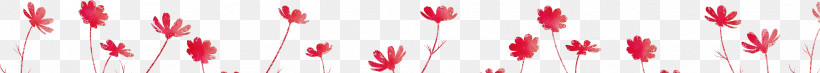Pink Red Petal Close-up Plant, PNG, 3306x298px, Spring Flowers Border, Closeup, Floral Line, Flower, Flower Line Download Free