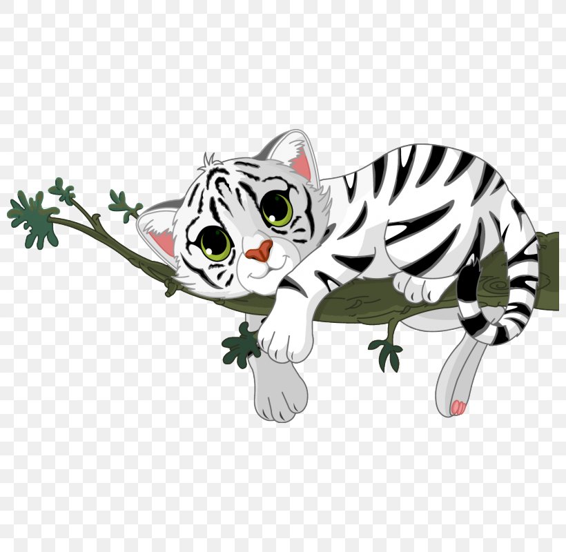 White Tiger Sticker Paper Adhesive, PNG, 800x800px, Tiger, Adhesive, Big Cats, Carnivoran, Cat Download Free
