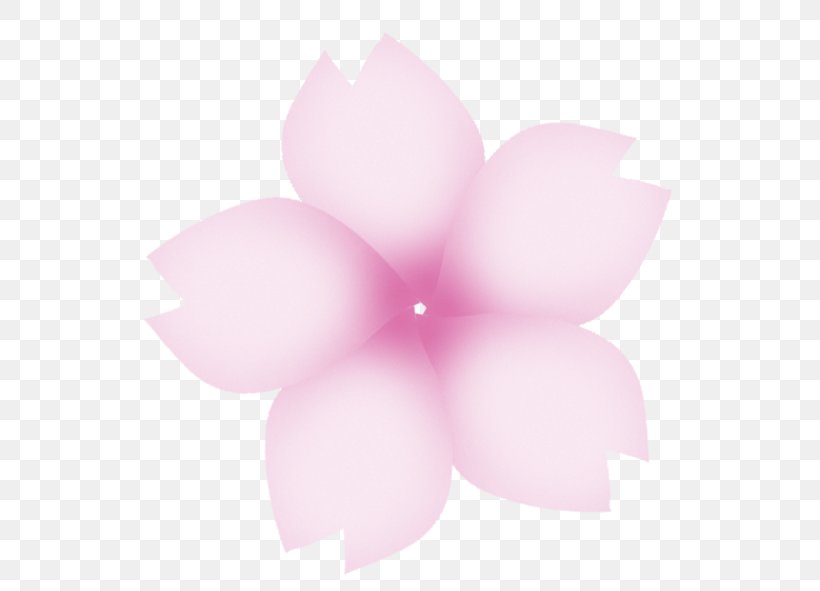 Cherry Blossom Download Cerasus Computer File, PNG, 591x591px, Cherry Blossom, Button, Cerasus, Designer, Flower Download Free