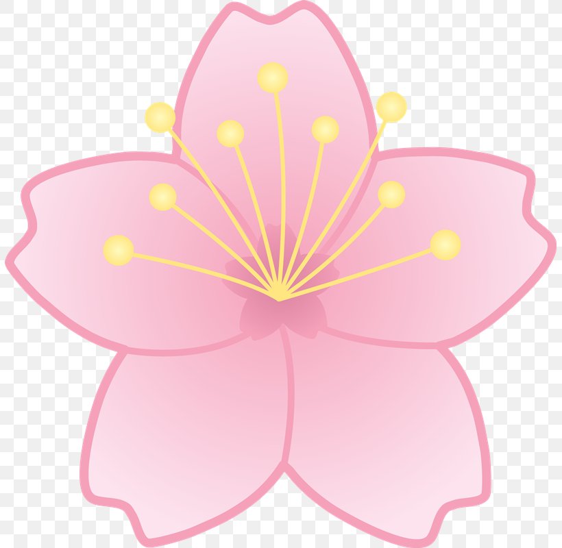 Cherry Blossom Flower Clip Art, PNG, 805x800px, Cherry Blossom, Blossom, Cartoon, Cherry, Drawing Download Free