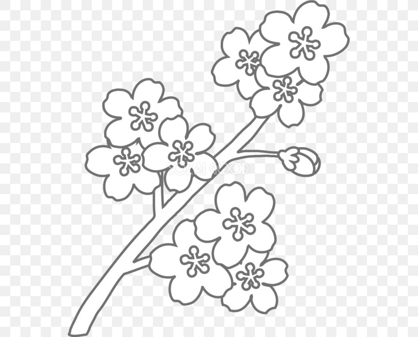Coloring Book Floral Design Black And White, PNG, 553x660px, Coloring Book, Area, Art, Black And White, Branch Download Free