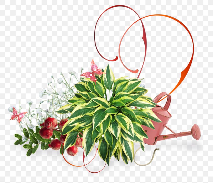 Flower Floral Design Green Plant, PNG, 800x705px, Flower, Blog, Color, Cut Flowers, Flora Download Free