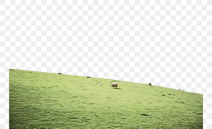 Grassland Pasture Green Nature Grass, PNG, 750x500px, Watercolor, Field, Grass, Grassland, Green Download Free