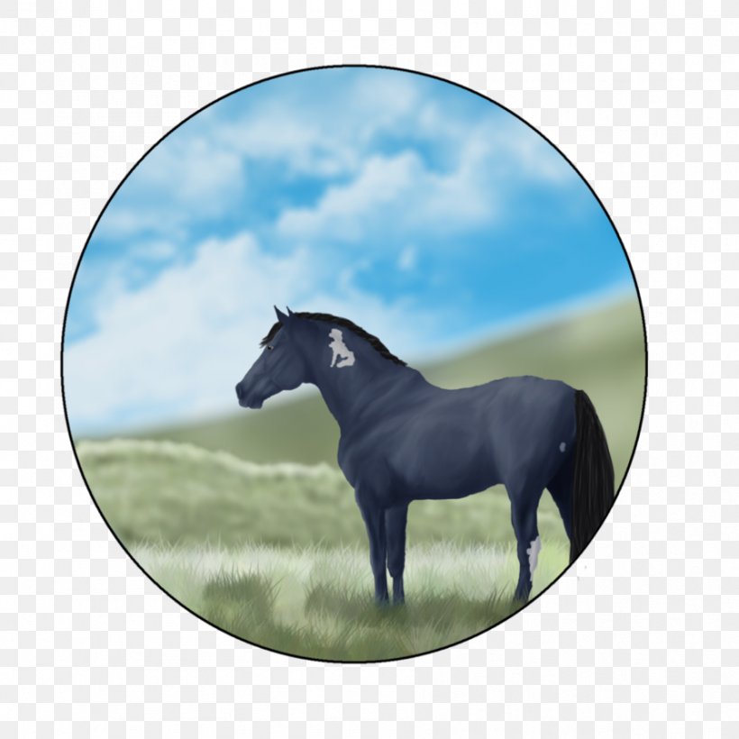 Mustang Stallion Pony Mare Mane, PNG, 894x894px, Mustang, Florida Kraze Krush Soccer Club, Grass, Halter, Horse Download Free