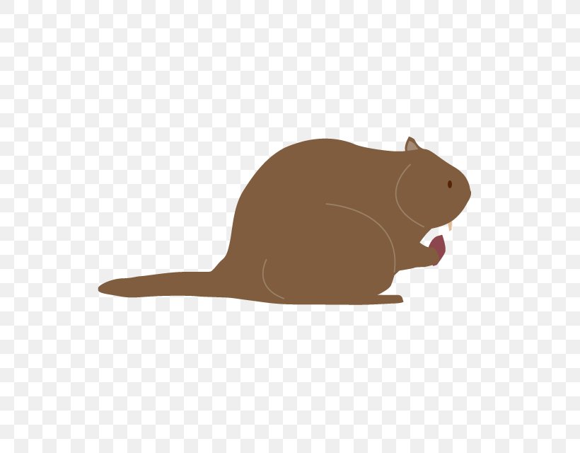 Beaver Rodent Gerbil Vector Graphics Mouse, PNG, 640x640px, Beaver, Carnivoran, Cartoon, Drawing, Fauna Download Free