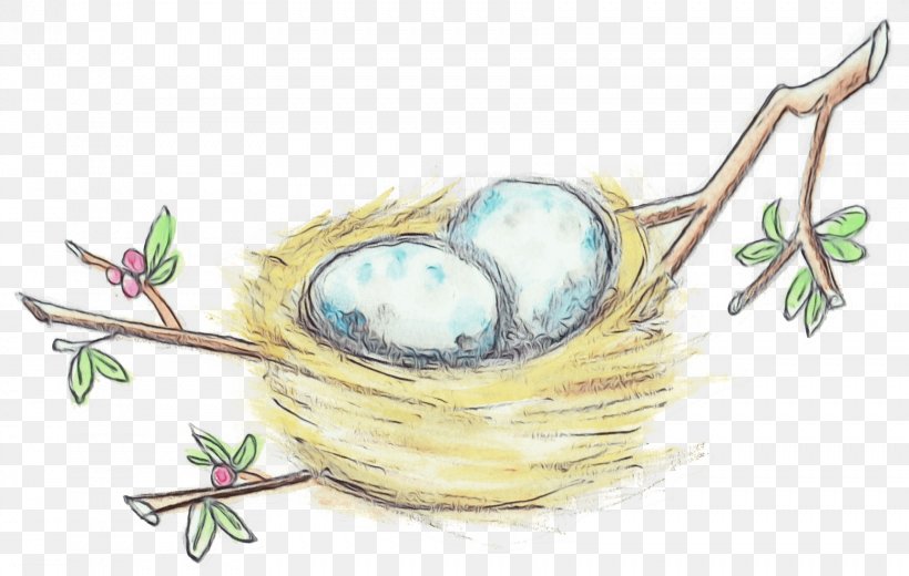 Bird Nest Plant, PNG, 1722x1093px, Watercolor, Bird Nest, Paint, Plant, Wet Ink Download Free