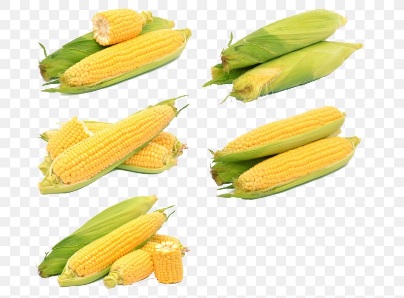 Corn On The Cob Maize Sweet Corn Corn Kernel Ear, PNG, 700x605px, Corn On The Cob, Commodity, Corn Kernel, Corncob, Cucumber Download Free
