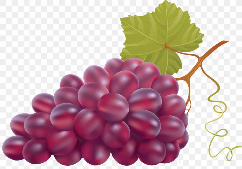 Wine Grape Leaves Clip Art, PNG, 2072x1444px, Wine, Berry, Blackberry, Boysenberry, Cranberry Download Free