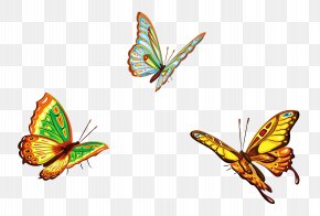 Three Butterflies Clipart Picture - Butterfly Euclidean Vector Graphic Design Illustration PNG