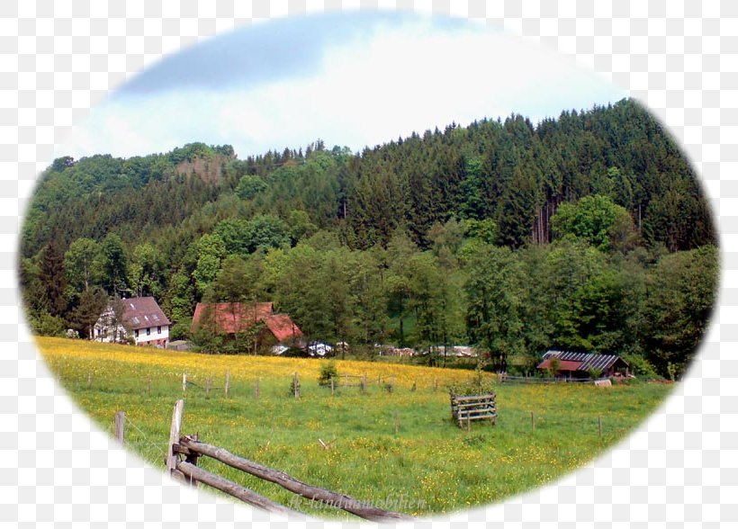 Crailsheim Real Estate Referenzen Farm Weiler Bei Monzingen, PNG, 800x588px, Real Estate, Camping, Einwohner, Farm, Grass Download Free